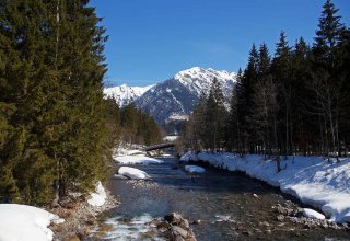 Tapety z widokami przyrody